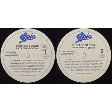 Stefano Secchi - Da Ya Think I'm Secchi • 12" Vinyl LP • EX - Labyrinth Music
