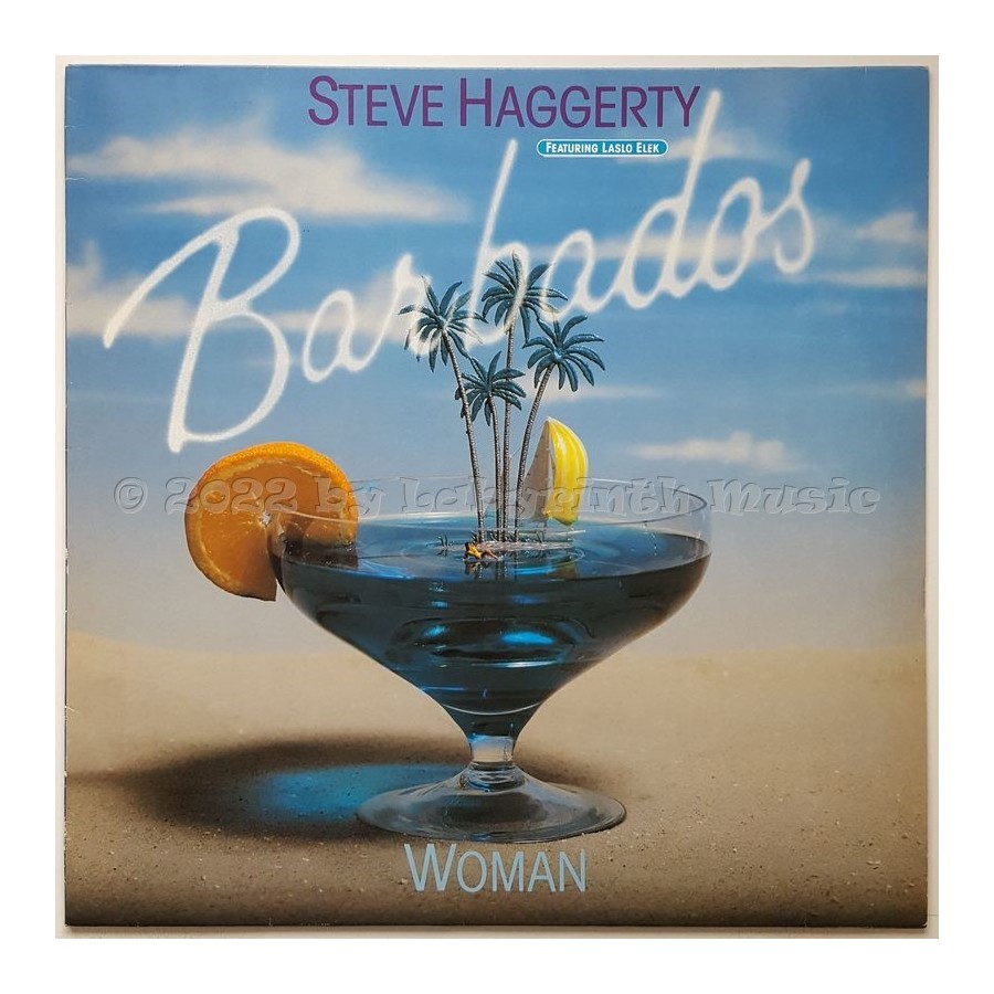 Steve Haggerty Feat. Laslo Elek - Barbados • 12" Vinyl Maxi • EX - Labyrinth Music