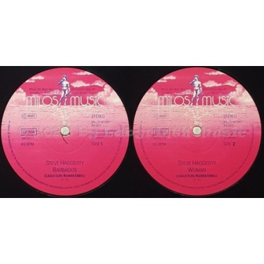 Steve Haggerty Feat. Laslo Elek - Barbados • 12" Vinyl Maxi • EX - Labyrinth Music