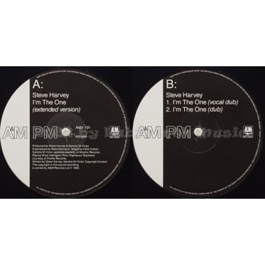 Steve Harvey - I'm The One • 12" Vinyl Maxi • NM - Labyrinth Music