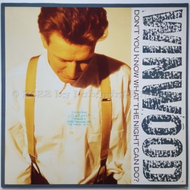 Steve Winwood - Don't You Know What The Night Can Do? • 12" Vinyl Maxi • NM - Labyrinth Music