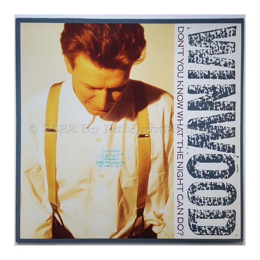 Steve Winwood - Don't You Know What The Night Can Do? • 12" Vinyl Maxi • NM - Labyrinth Music