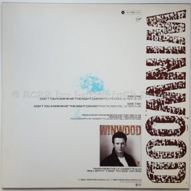 Steve Winwood - Don't You Know What The Night Can Do? • 12" Vinyl Maxi • NM - Labyrinth Music