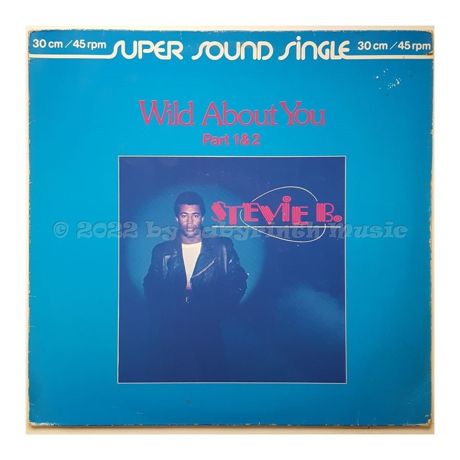 Stevie B. - Wild About You • 12" Vinyl Maxi - Labyrinth Music