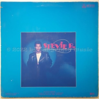 Stevie B. - Wild About You • 12" Vinyl Maxi - Labyrinth Music