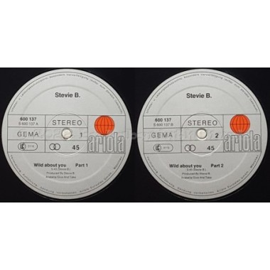 Stevie B. - Wild About You • 12" Vinyl Maxi - Labyrinth Music