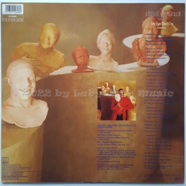 Stevie Wonder - My Eyes Don't Cry • 12" Vinyl Maxi - Labyrinth Music