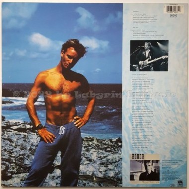 Sting - Love Is The Seventh Wave • 12" Vinyl Maxi • NM - Labyrinth Music