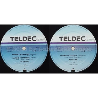 The Subtones - Raining In Paradise • 12" Vinyl Maxi • NM - Labyrinth Music