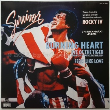 Survivor - Burning Heart • 12" Vinyl Maxi • EX - Labyrinth Music