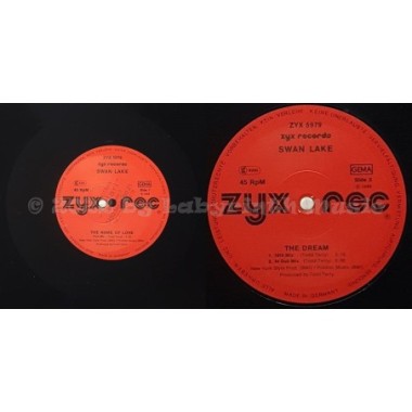 Swan Lake - The Name Of Love • 12" Vinyl Maxi • EX - Labyrinth Music