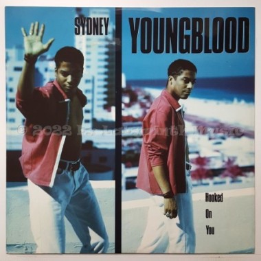 Sydney Youngblood - Hooked On You • 12" Vinyl Maxi • NM - Labyrinth Music