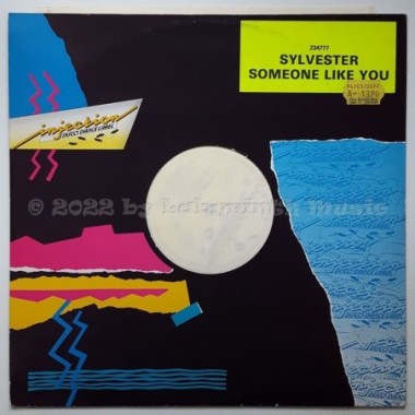 Sylvester - Someone Like You • 12" Vinyl Maxi • EX - Labyrinth Music