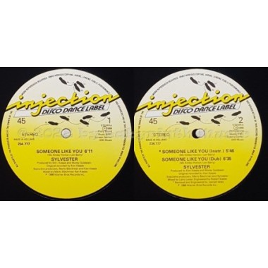 Sylvester - Someone Like You • 12" Vinyl Maxi • EX - Labyrinth Music