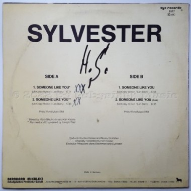 Sylvester - Someone Like You • 12" Vinyl Maxi - Labyrinth Music