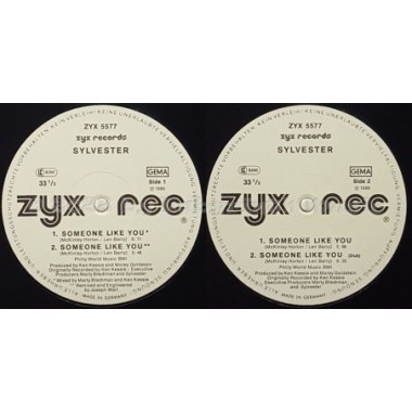 Sylvester - Someone Like You • 12" Vinyl Maxi - Labyrinth Music