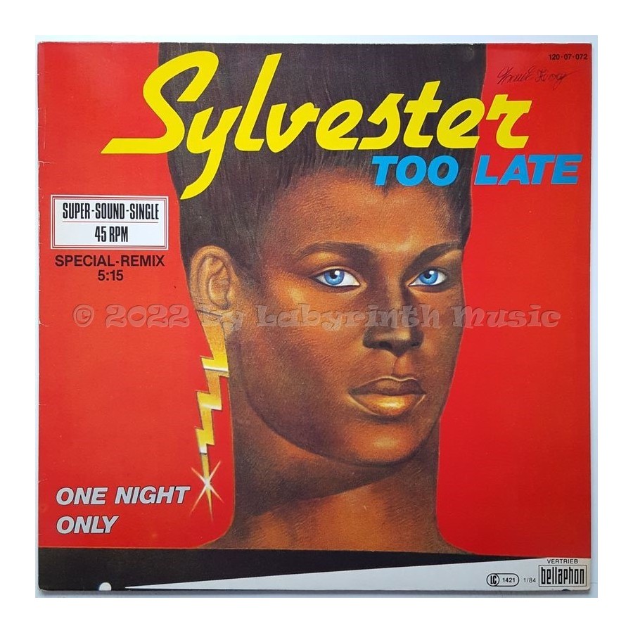 Sylvester - Too Late • 12" Vinyl Maxi - Labyrinth Music