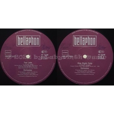 Sylvester - Too Late • 12" Vinyl Maxi - Labyrinth Music