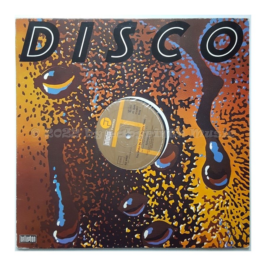 Sylvester - You Make Me Feel (Mighty Real) • 12" Vinyl Maxi • EX - Labyrinth Music