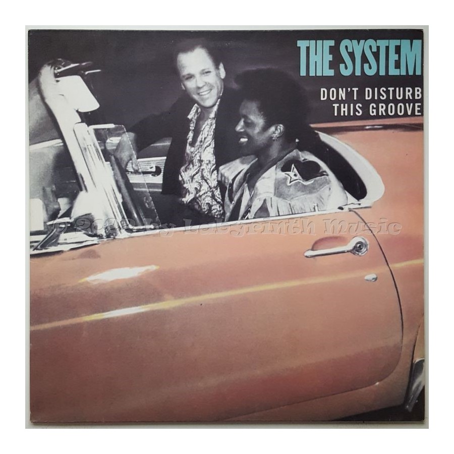 The System - Don't Disturb This Groove • 12" Vinyl Maxi • MINT - Labyrinth Music