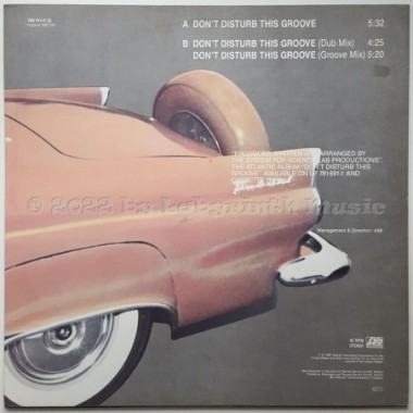 The System - Don't Disturb This Groove • 12" Vinyl Maxi • MINT - Labyrinth Music