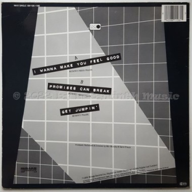 The System - I Wanna Make You Feel Good • 12" Vinyl Maxi - Labyrinth Music