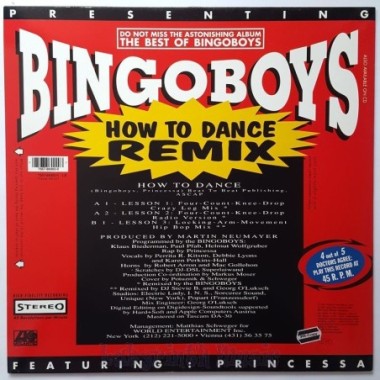 Bingoboys Feat. Princessa - How To Dance (Remix) • 12" Vinyl Maxi • MINT - Labyrinth Music