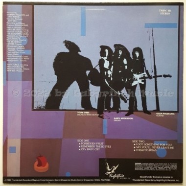 Task Force - Forbidden Fruit • 12" Vinyl LP • EX - Labyrinth Music