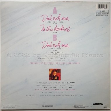 Taylor Dayne - Don't Rush Me • 12" Vinyl Maxi • EX - Labyrinth Music
