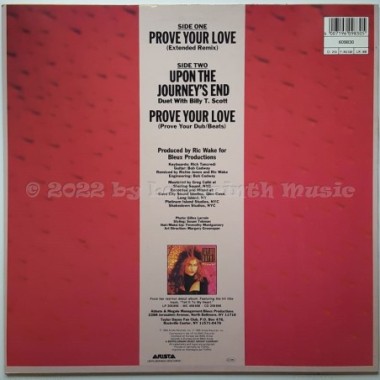 Taylor Dayne - Prove Your Love • 12" Vinyl Maxi • MINT - Labyrinth Music