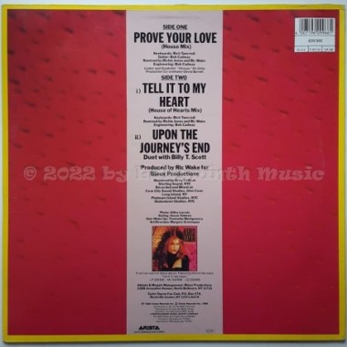 Taylor Dayne - Prove Your Love • House Mix • 12" Vinyl Maxi • EX - Labyrinth Music