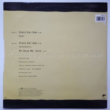 Teena Marie - Since Day One • 12" Vinyl Maxi • EX - Labyrinth Music