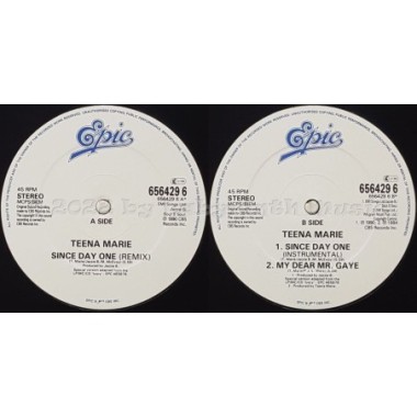 Teena Marie - Since Day One • 12" Vinyl Maxi • EX - Labyrinth Music