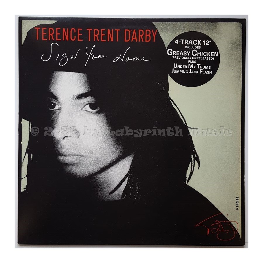 Terence Trent D'Arby - Sign Your Name • 12" Vinyl Maxi • NM - Labyrinth Music