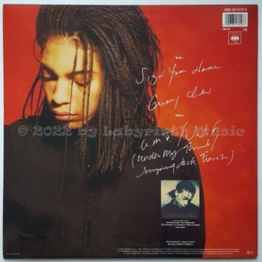 Terence Trent D'Arby - Sign Your Name • 12" Vinyl Maxi • NM - Labyrinth Music