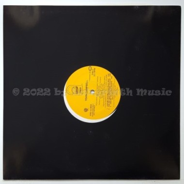 Tevin Campbell - Can We Talk • Remix • 12" Vinyl Maxi • MINT - Labyrinth Music