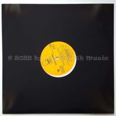 Tevin Campbell - Can We Talk • Remix • 12" Vinyl Maxi • MINT - Labyrinth Music