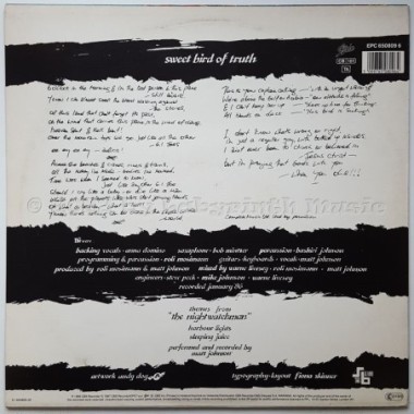 The The - Sweet Bird Of Truth • 12" Vinyl Maxi • EX - Labyrinth Music