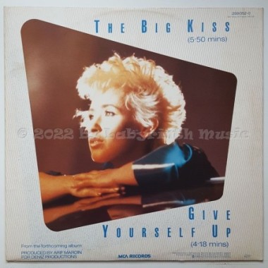 Thereza Bazar - The Big Kiss • 12" Vinyl Maxi • EX - Labyrinth Music