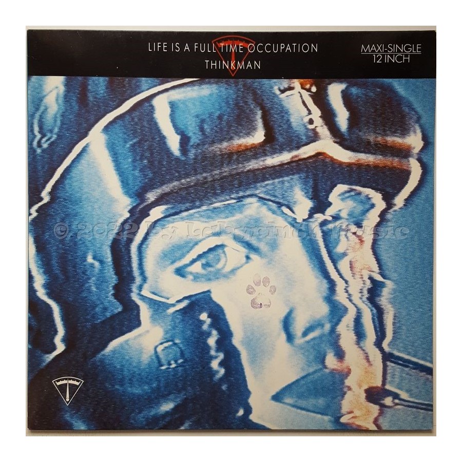 Thinkman - Life Is A Full Time Occupation • 12" Vinyl Maxi • MINT - Labyrinth Music