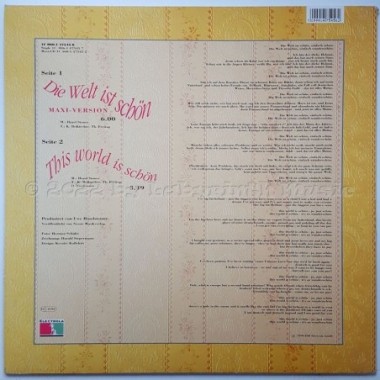 Thomas Freitag - Die Welt Ist Schön • 12" Vinyl Maxi • NM - Labyrinth Music