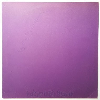 Black Box - Not Anyone • 12" Vinyl Maxi - Labyrinth Music