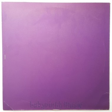 Black Box - Not Anyone • 12" Vinyl Maxi - Labyrinth Music