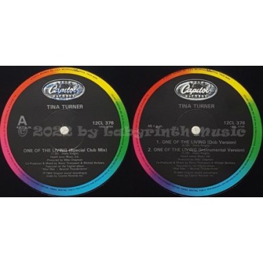 Tina Turner - One Of The Living • 12" Vinyl Maxi - Labyrinth Music