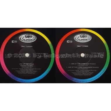 Tina Turner - One Of The Living • 12" Vinyl Maxi - Labyrinth Music