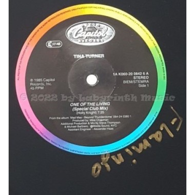 Tina Turner - One Of The Living • 12" Vinyl Maxi - Labyrinth Music