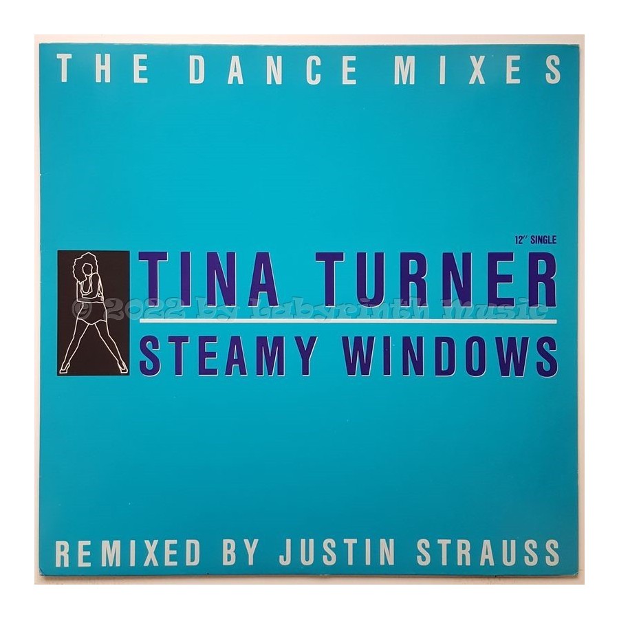 Tina Turner - Steamy Windows • Dance Mixes • 12" Vinyl Maxi • MINT - Labyrinth Music