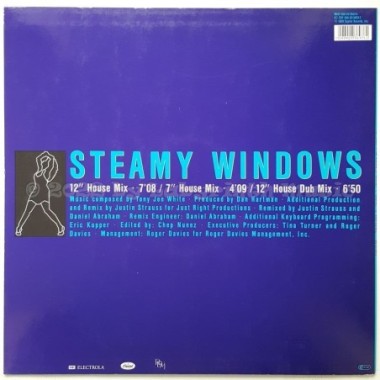 Tina Turner - Steamy Windows • Dance Mixes • 12" Vinyl Maxi • MINT - Labyrinth Music