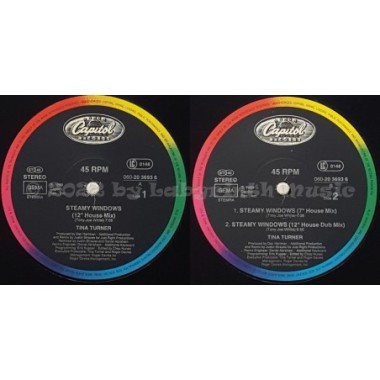 Tina Turner - Steamy Windows • Dance Mixes • 12" Vinyl Maxi • MINT - Labyrinth Music