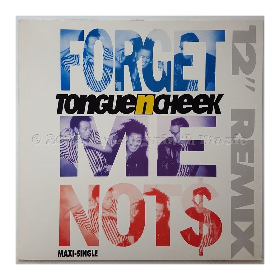 Tongue N Cheek - Forget Me Nots - The Slammer Mix • 12" Vinyl Maxi • MINT - Labyrinth Music